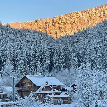 بيت خشبي Panska Hata ياريمتشي
