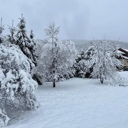 Panska Hata Деревянный коттедж