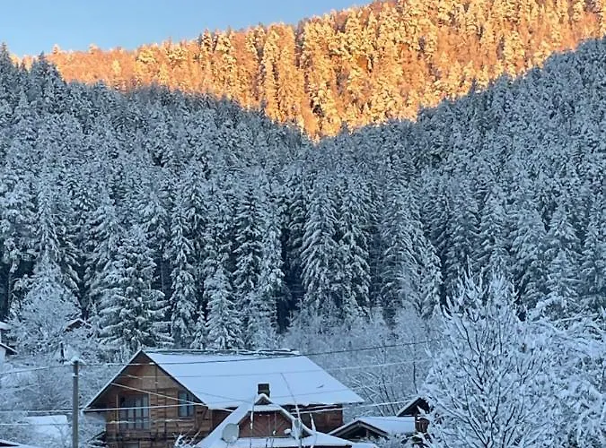 Orman Evi Panska Hata Yaremche