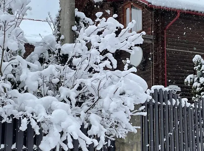 Orman Evi Panska Hata