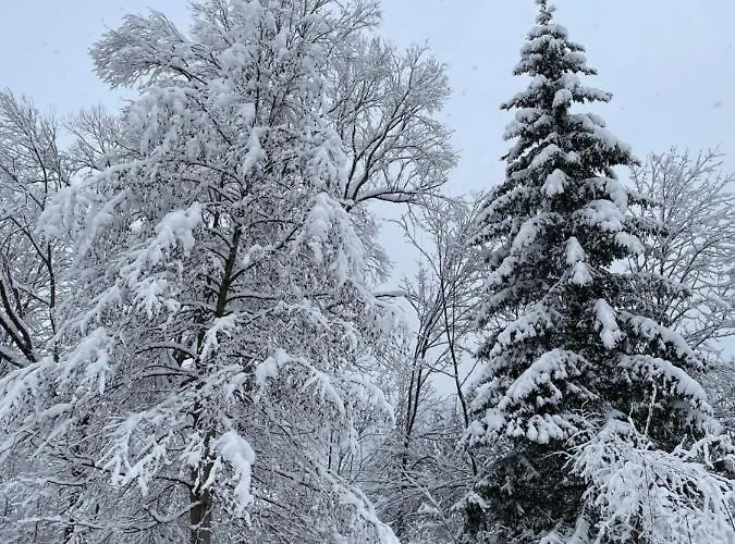 Panska Hata