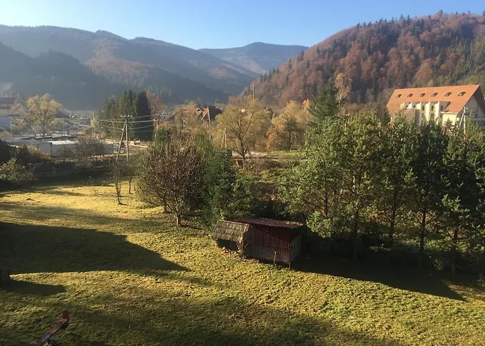 Orman Evi Panska Hata