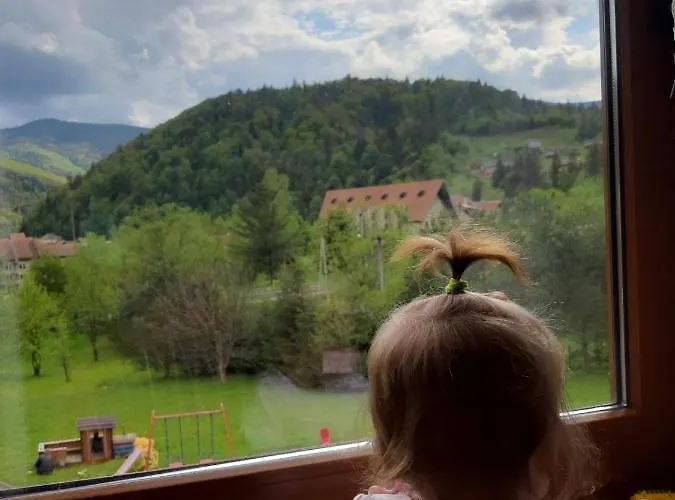 Orman Evi Panska Hata Yaremche